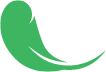 lightweighticon